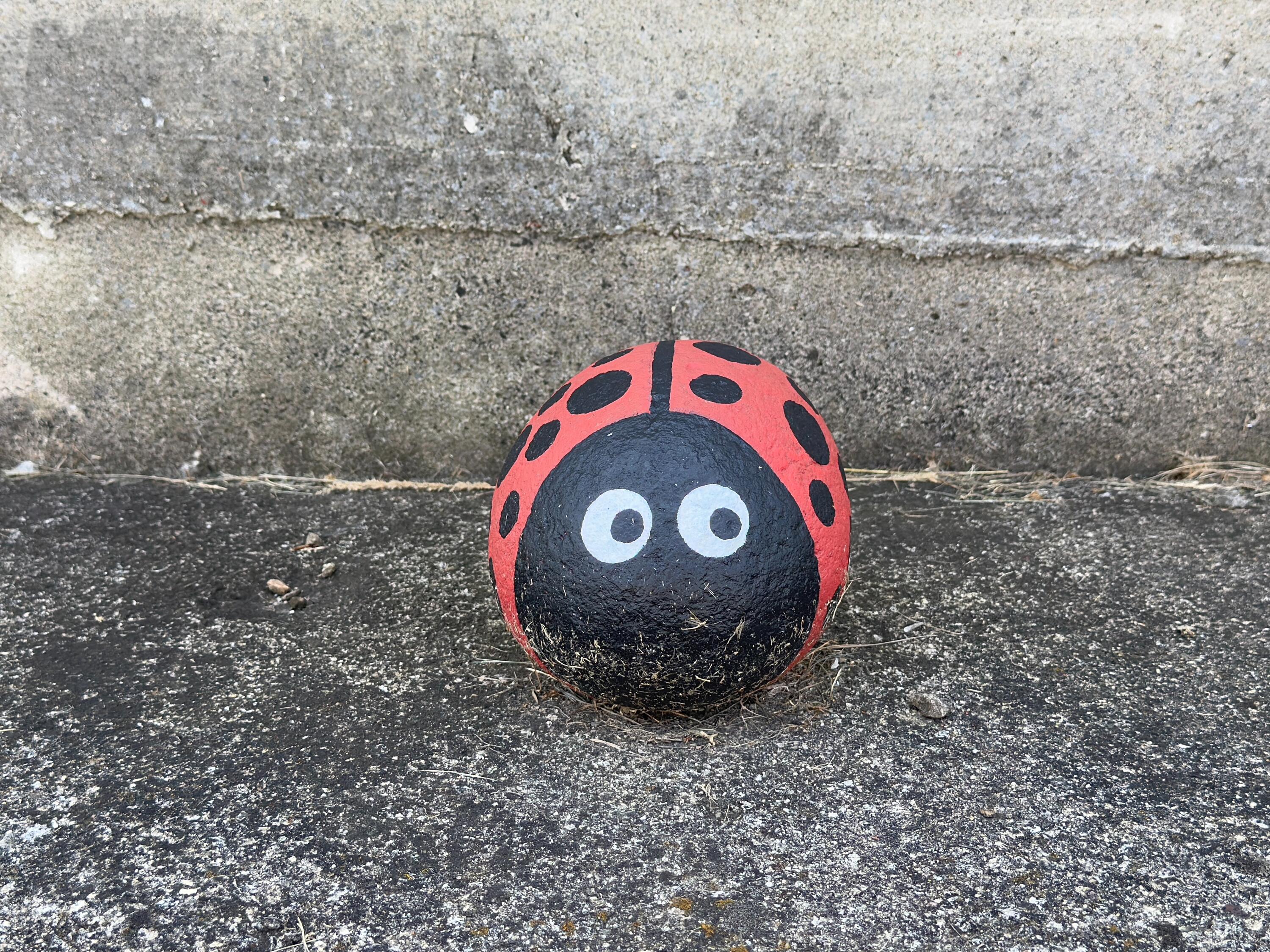 9258 Highway 76 Clayton, WI 54956 - Photo 83 of 83 Ladybug