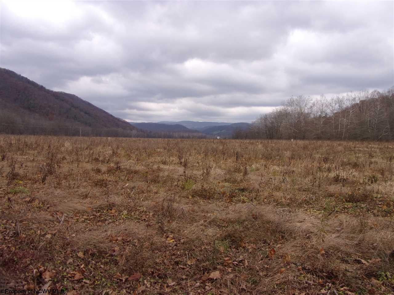 629 B Butts Farm Road Parsons, WV 26287 - Photo 10 of 11 Gallery Image 10