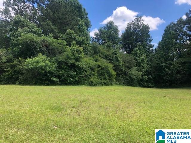 Campbellville Road Empire, AL 35063 - Photo 3 of 4