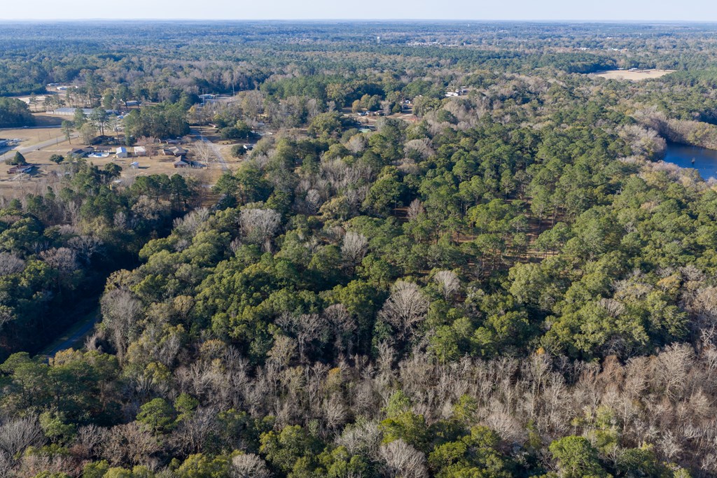 347 North Martin Street Geneva, AL 36340 - Photo 3 of 42