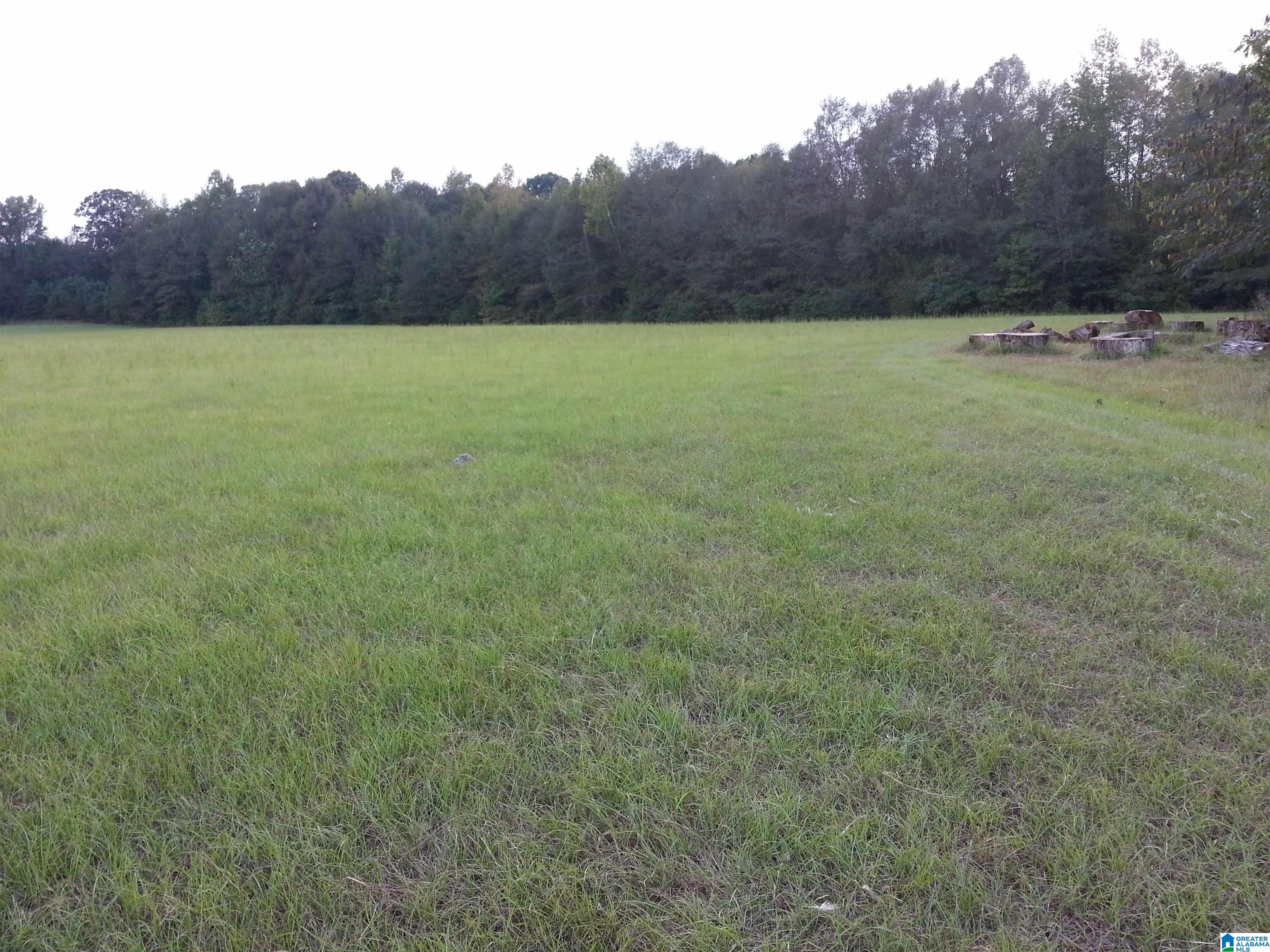 0 County Road 89 Fayette, AL 35555 - Photo 3 of 8