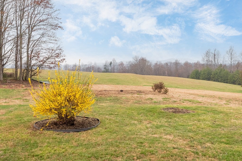 962 Five Forks Road Stuart, VA 24171 - Photo 40 of 52 Gallery Image 40