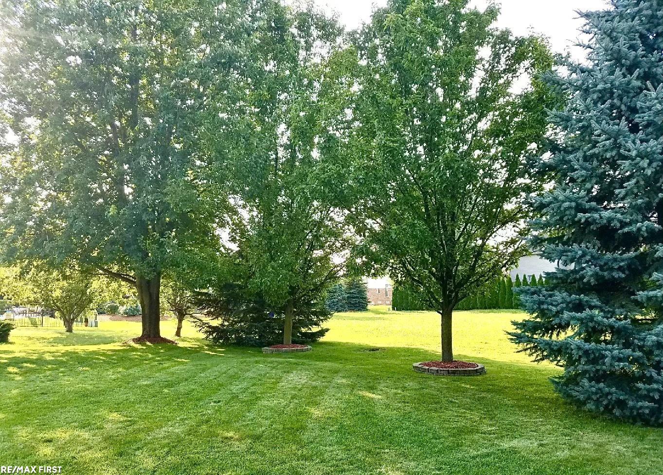 34443 Lillian Road Chesterfield, MI 48047 - Photo 41 of 46