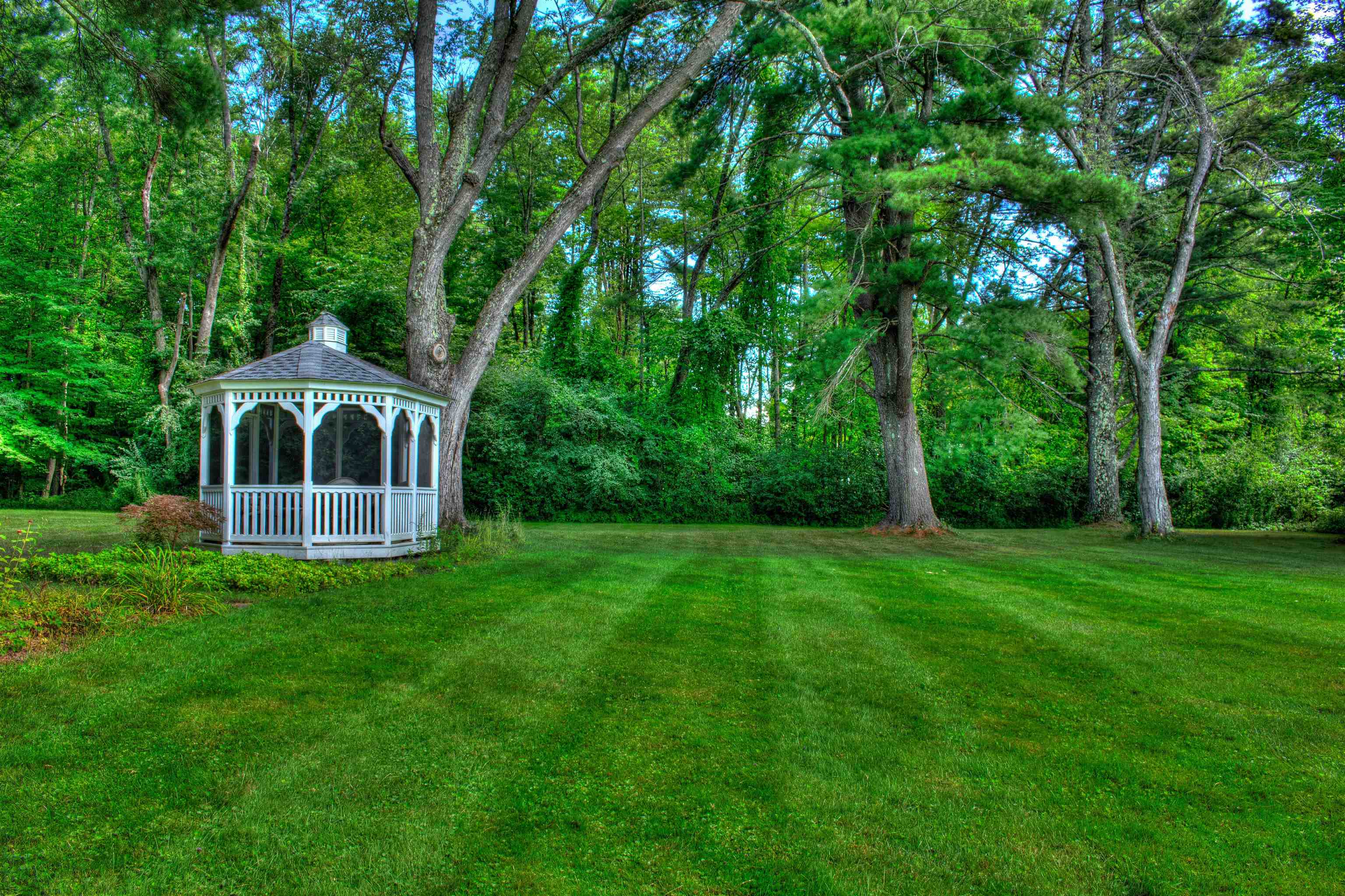 7 Winchester Road Chesterfield, NH 03443 - Photo 5 of 29 Gallery Image 5