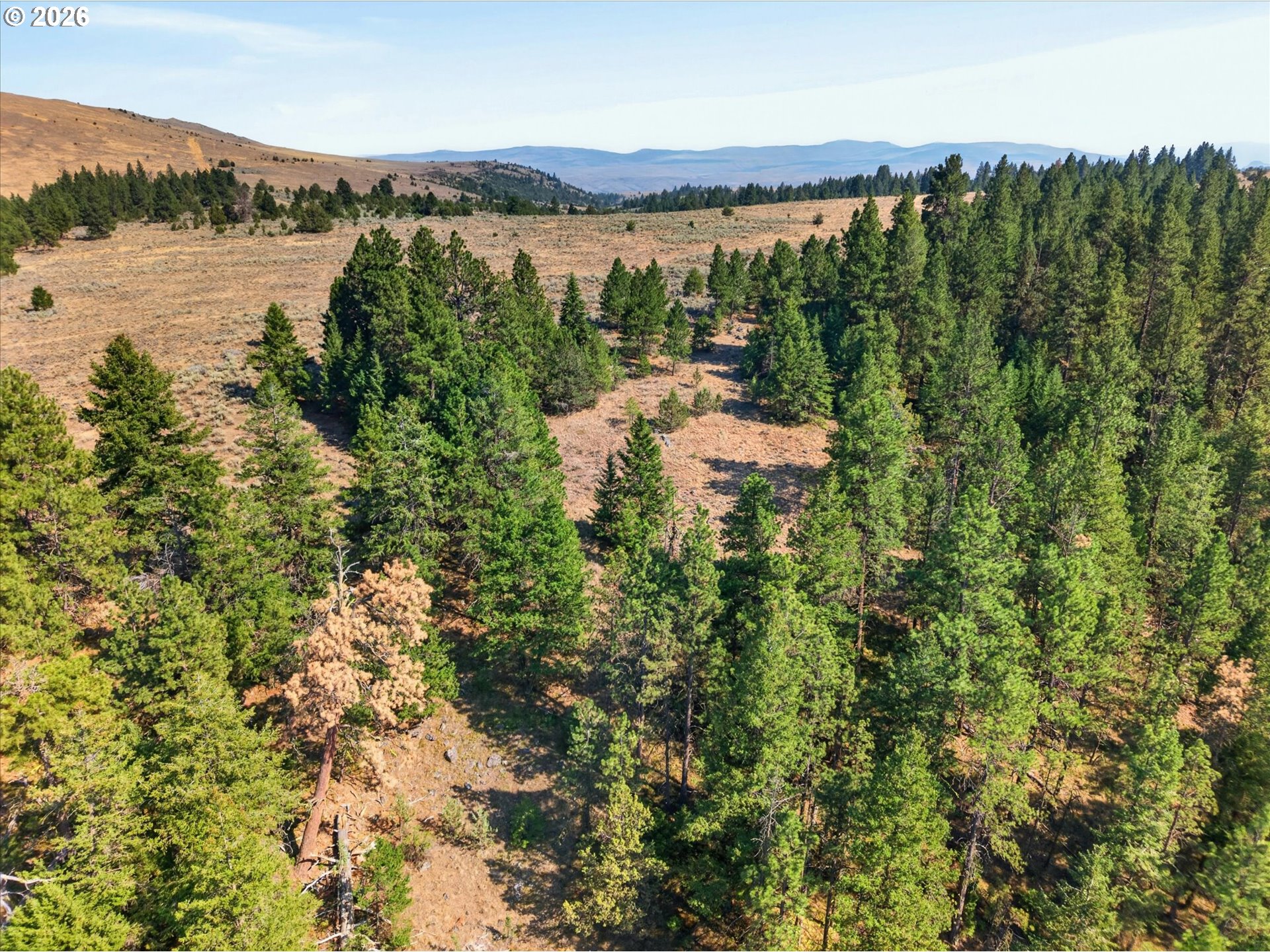 0 Washington Gulch Road, Unit 3300 Baker City, OR 97814 - Photo 2 of 14 Gallery Image 2