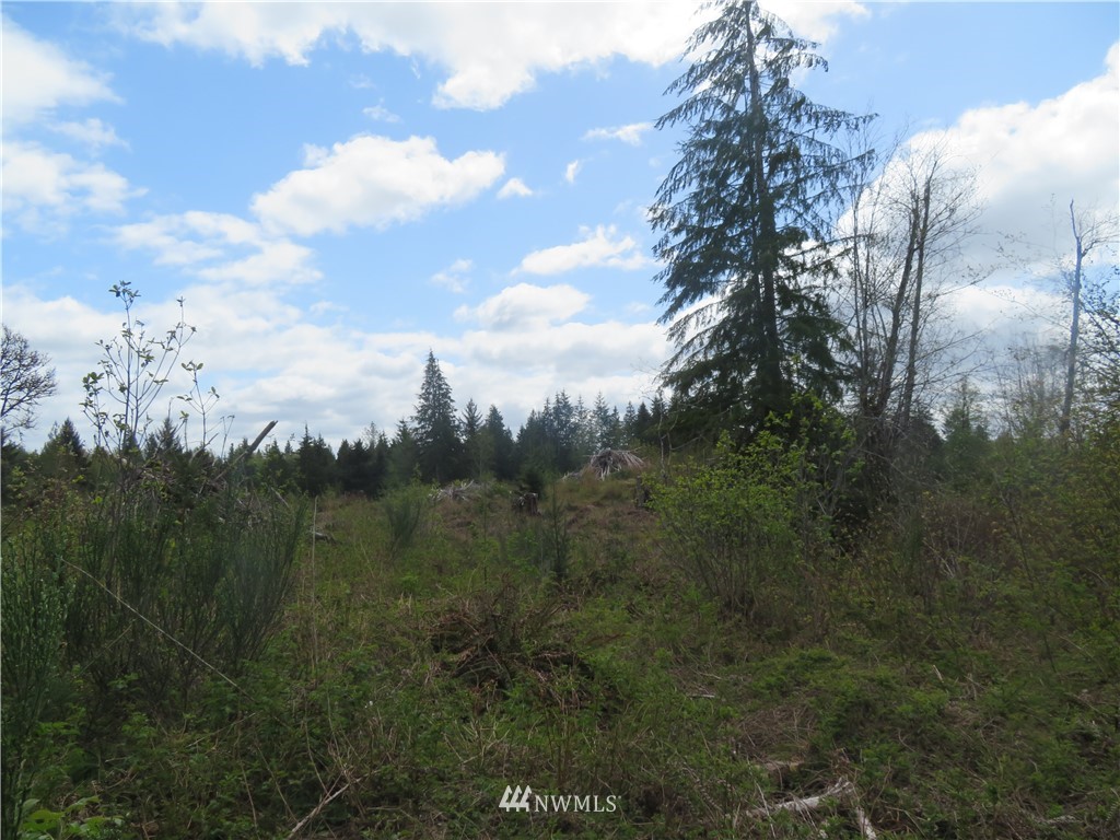 0 West Hatfield Road Elma, WA 98541 - Photo 5 of 10 Gallery Image 5