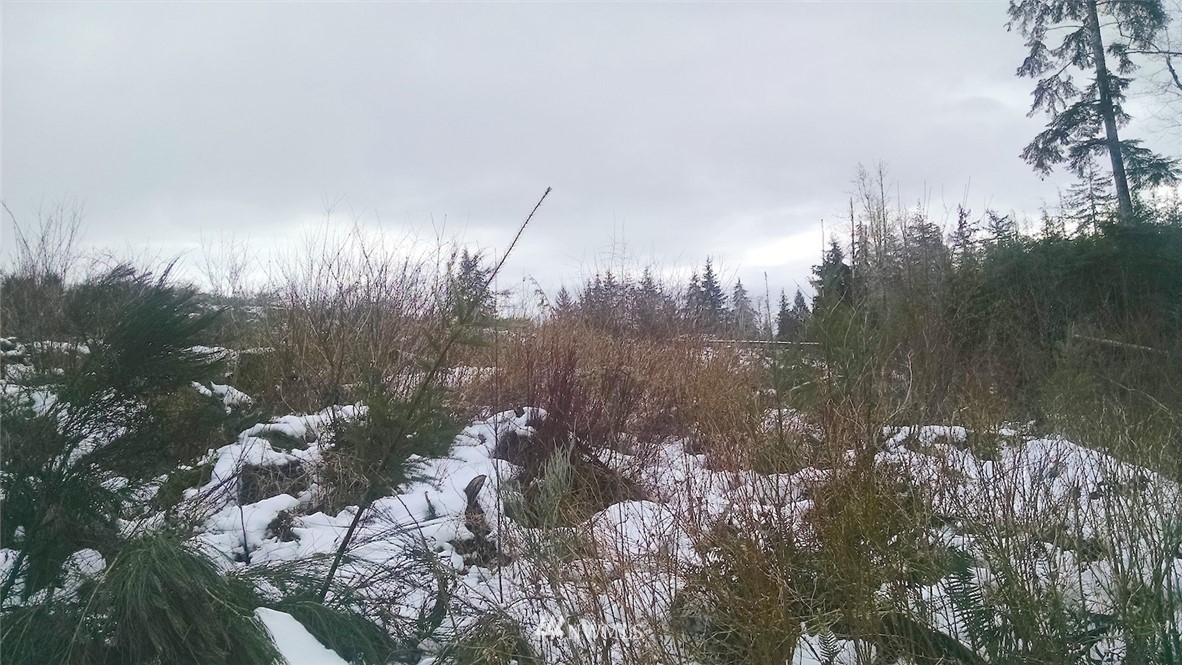 0 West Hatfield Road Elma, WA 98541 - Photo 10 of 10 Gallery Image 10
