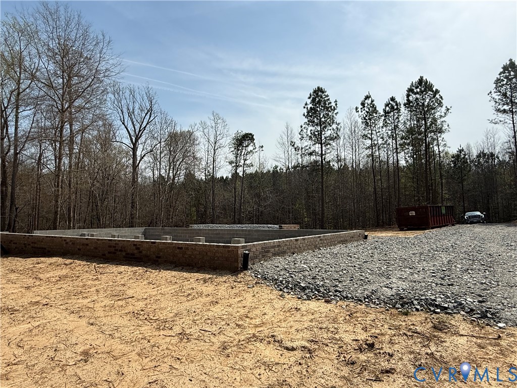 443 Raleigh Avenue South Hill, VA 23970 - Photo 4 of 14 a view of a backyard
