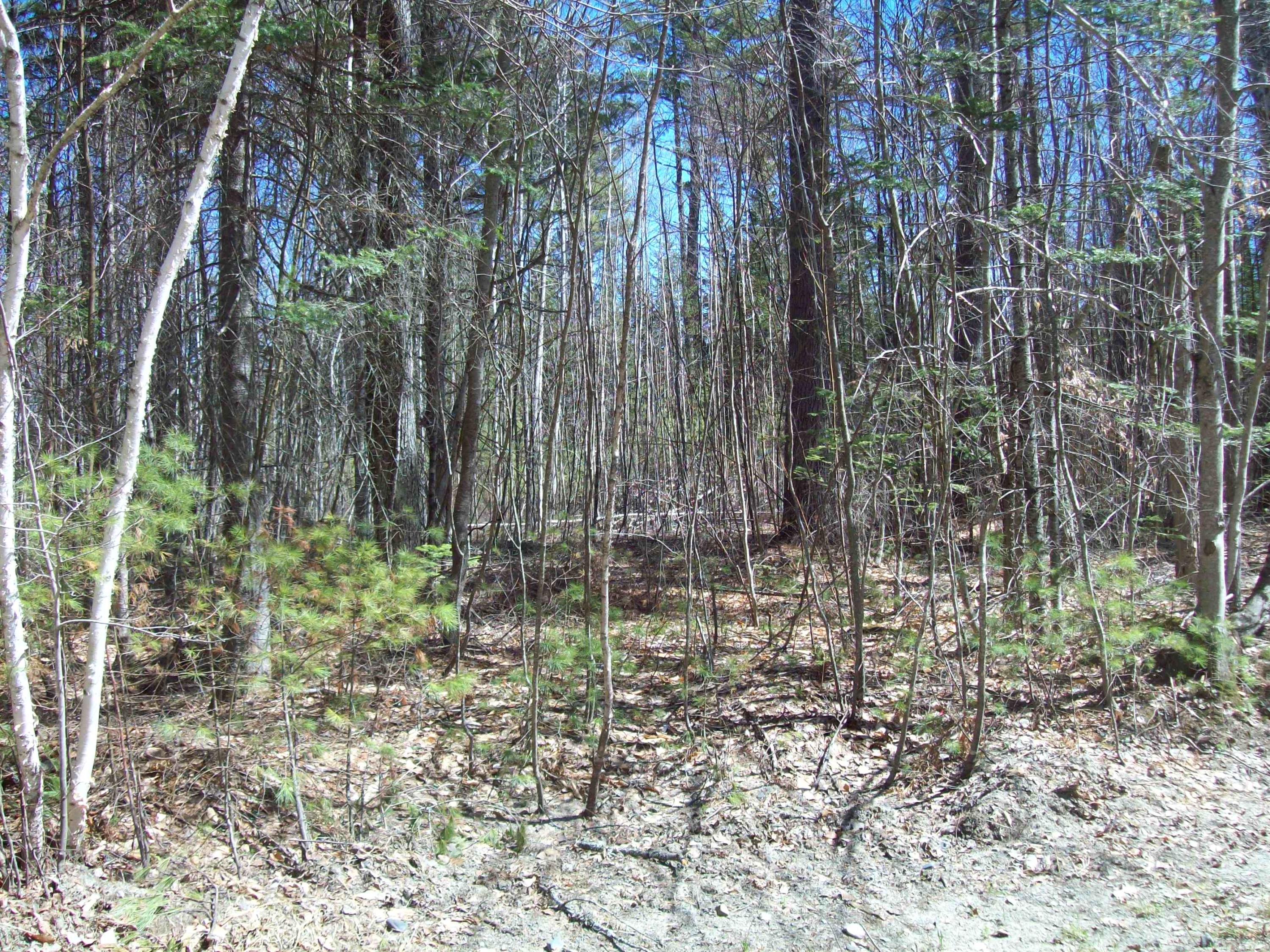 Tbd White Point Estates Road Lincoln, ME 04457 - Photo 3 of 6 100_1764