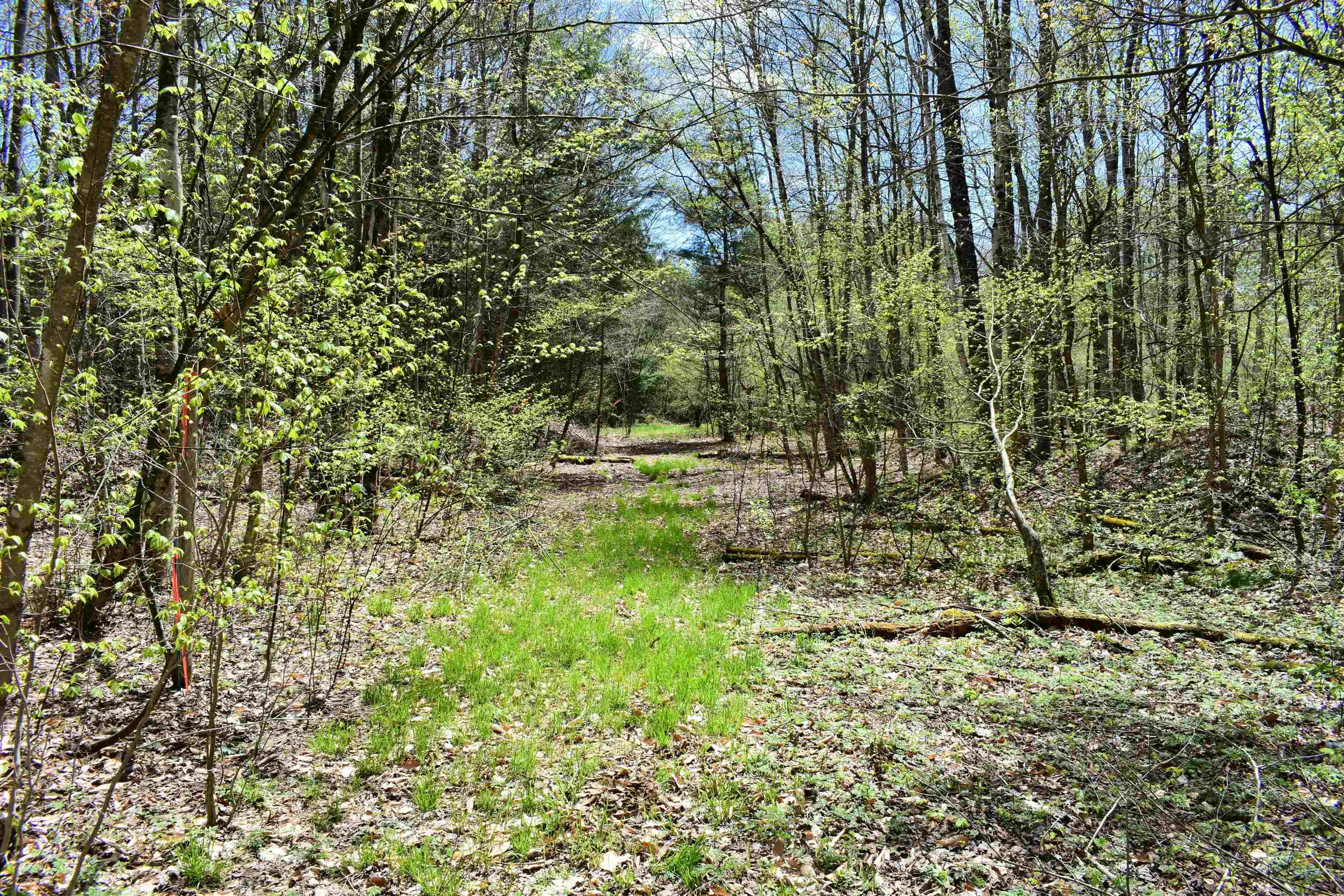 1850 Stock Farm Road, Unit 68 Randolph, VT 05060 - Photo 22 of 25