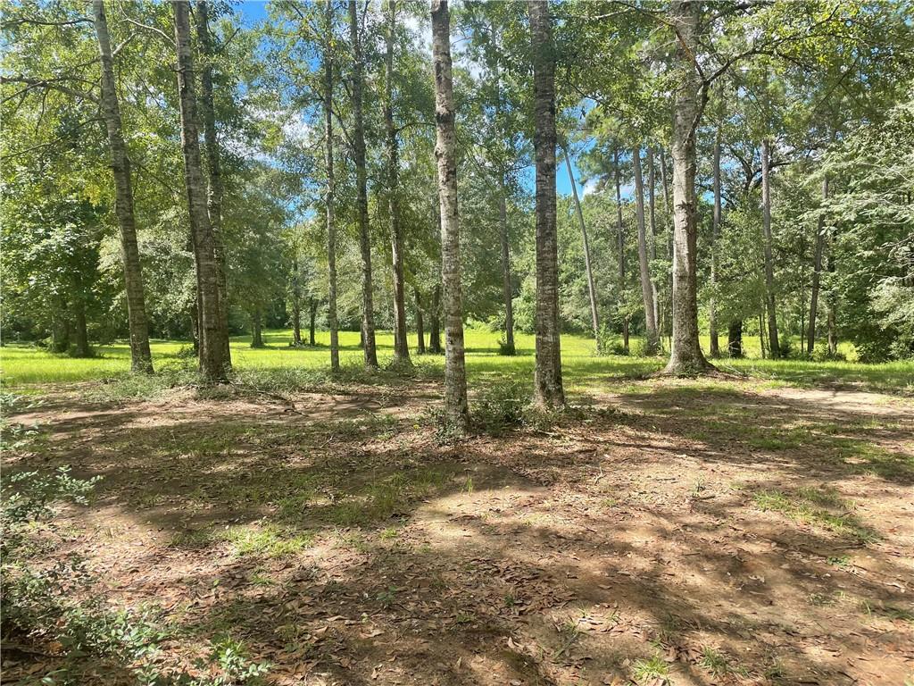 17338 Hunt Road Covington, LA 70435 - Photo 3 of 4