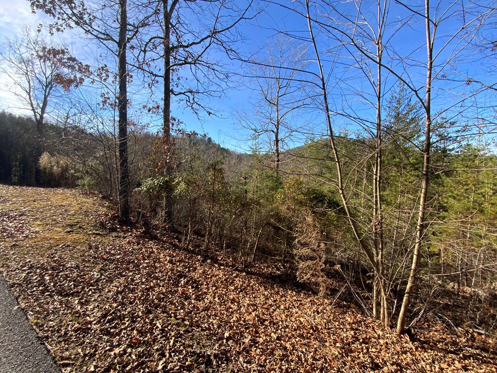 0 Brasstown View Road Murphy, NC 28906 - Photo 4 of 12