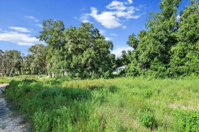 a view of a lush green space