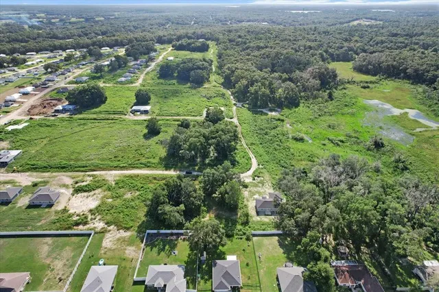 an aerial view of residential houses with outdoor space and trees