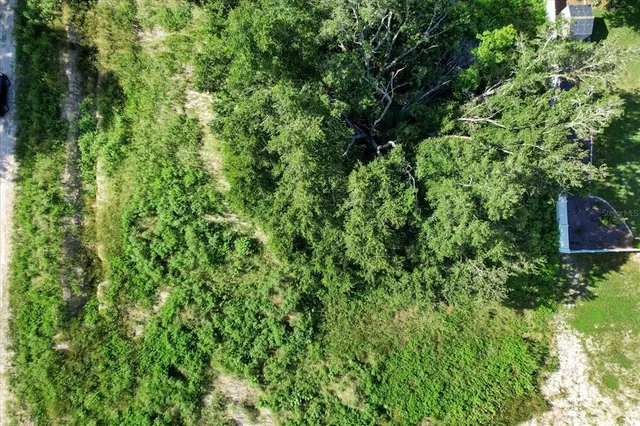 a view of a lush green forest with lots of trees