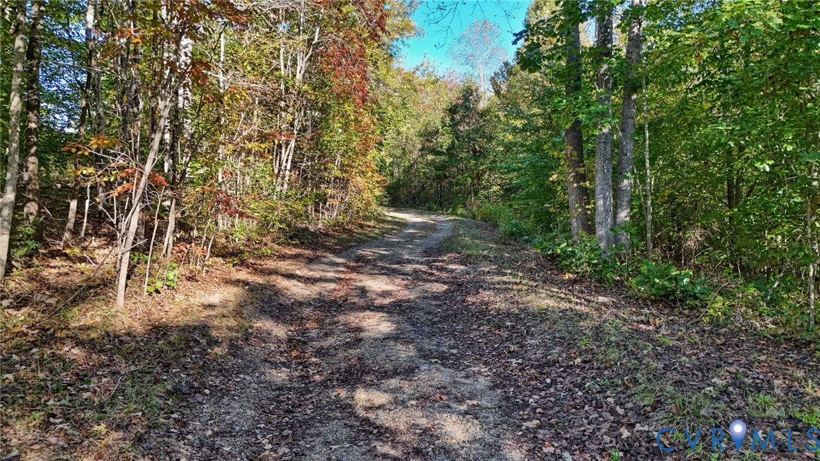 0 Allen Rosen Road Dillwyn, VA 23936 - Photo 9 of 18 Gallery Image 9