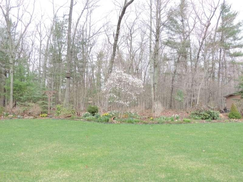 7489 Sweeter Road Twin Lake, MI 49457 - Photo 15 of 15 DSCN3571