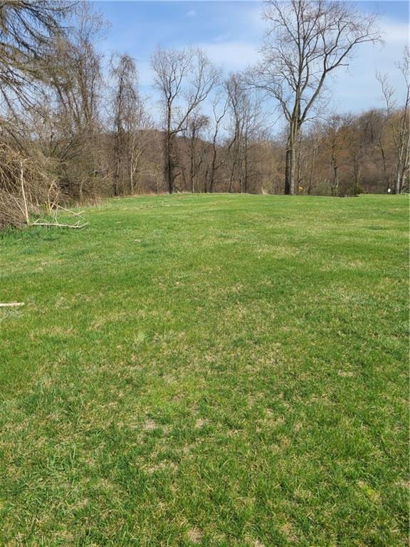 1167 Old Royal Road Chestnut Ridge, PA 15422 - Photo 4 of 22