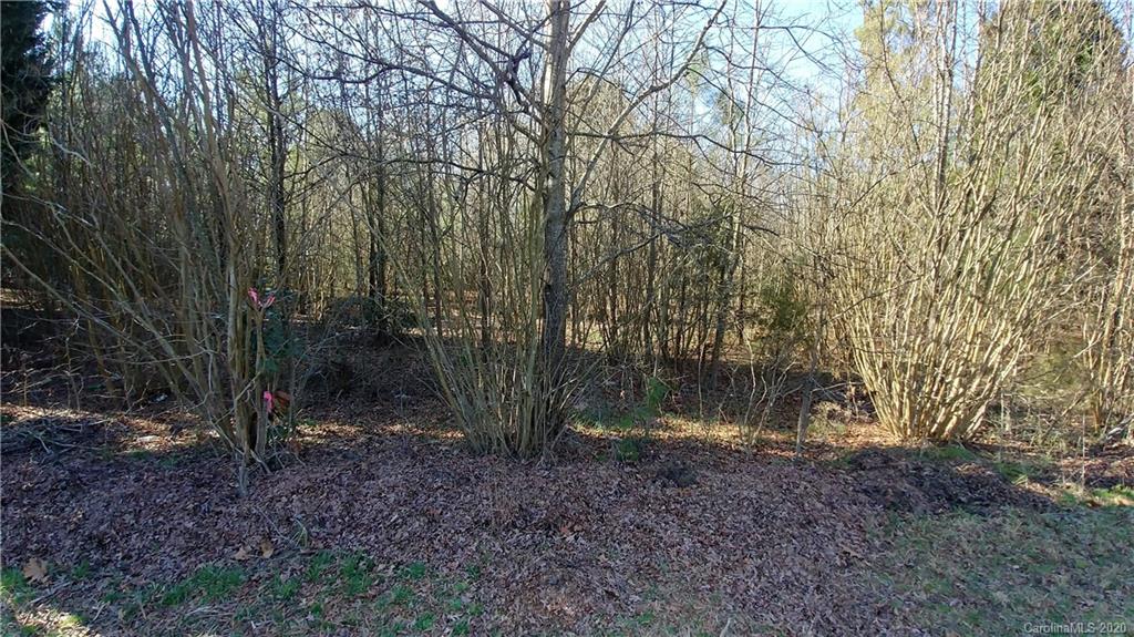 0 Pagemont Road Kannapolis, NC 28081 - Photo 2 of 2 a view of a forest with trees in the background