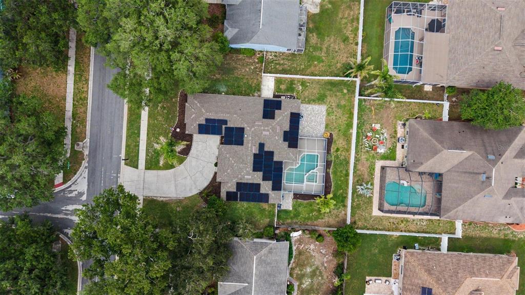 4021 Lithia Ridge Boulevard Valrico, FL 33596 - Photo 43 of 48