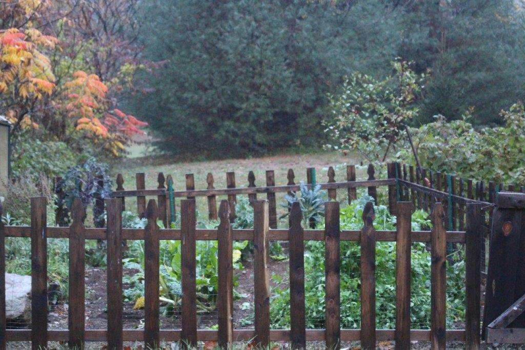 1120 Black Brook Road Dunbarton, NH 03046 - Photo 3 of 40