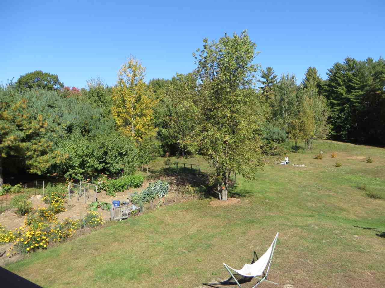 1120 Black Brook Road Dunbarton, NH 03046 - Photo 7 of 40