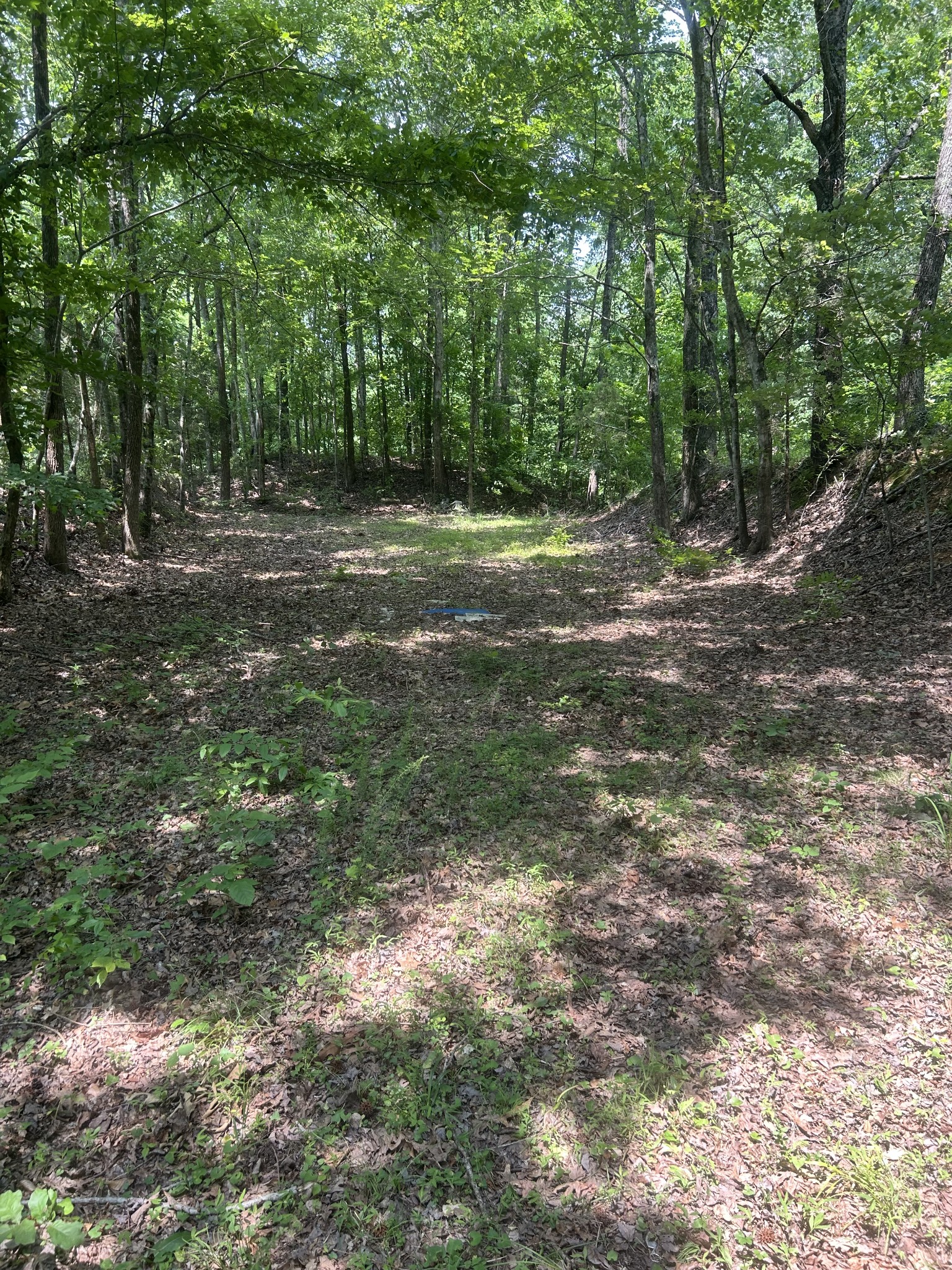 550 Sales Landing Road Camden, TN 38320 - Photo 12 of 27 a view of outdoor space with trees