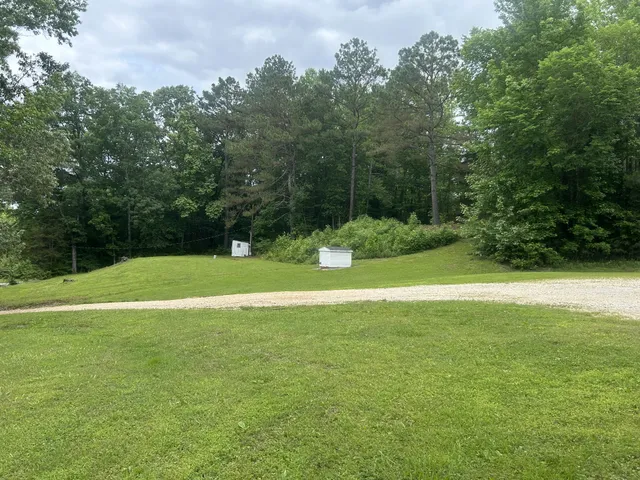a view of a green field with trees in the background