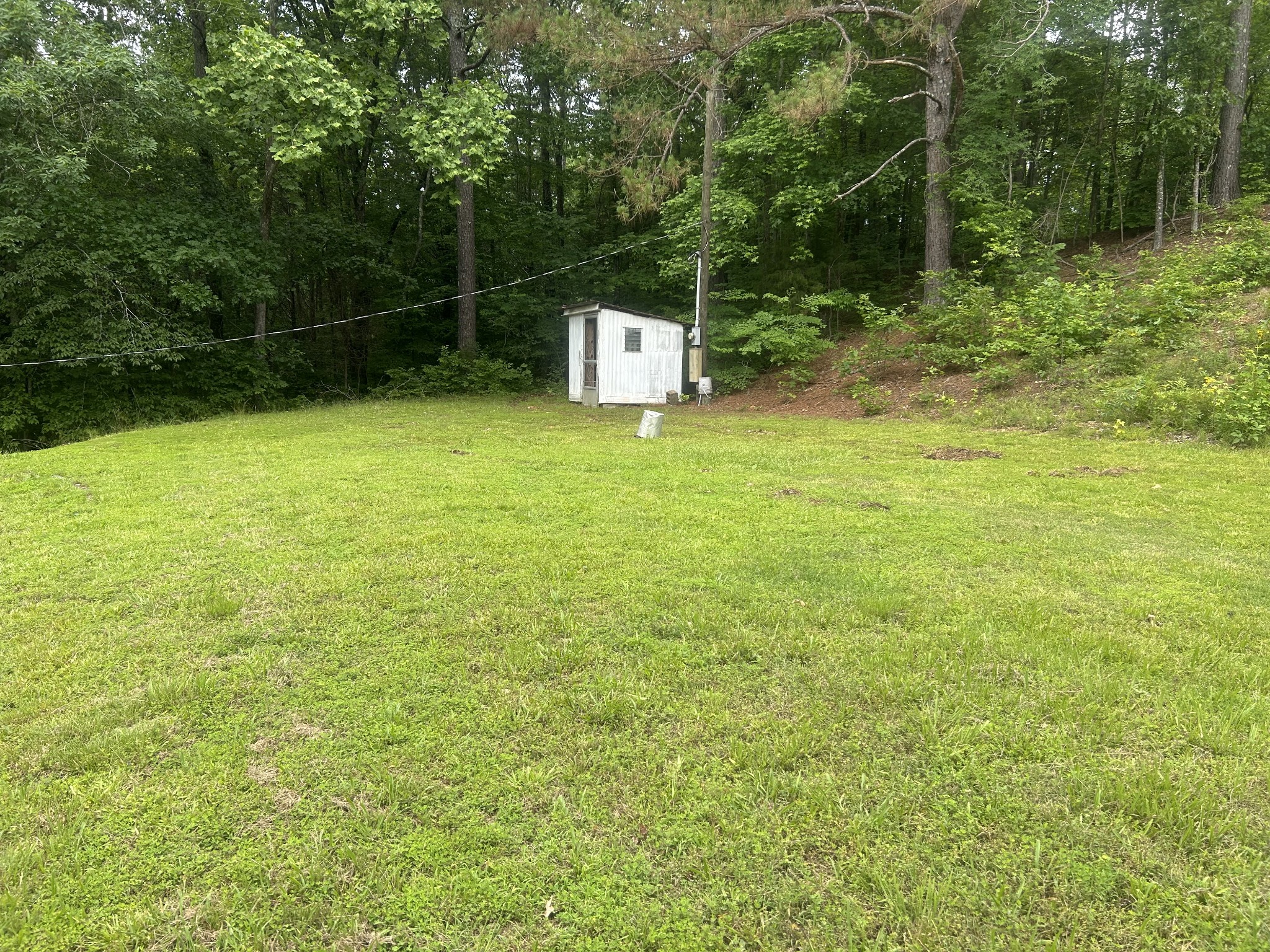550 Sales Landing Road Camden, TN 38320 - Photo 10 of 27 a backyard of a house with lots of green space and fountain