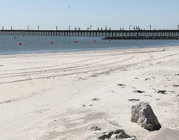 $446,900 | 1113 San Jacinto Street, La Porte, TX 77571