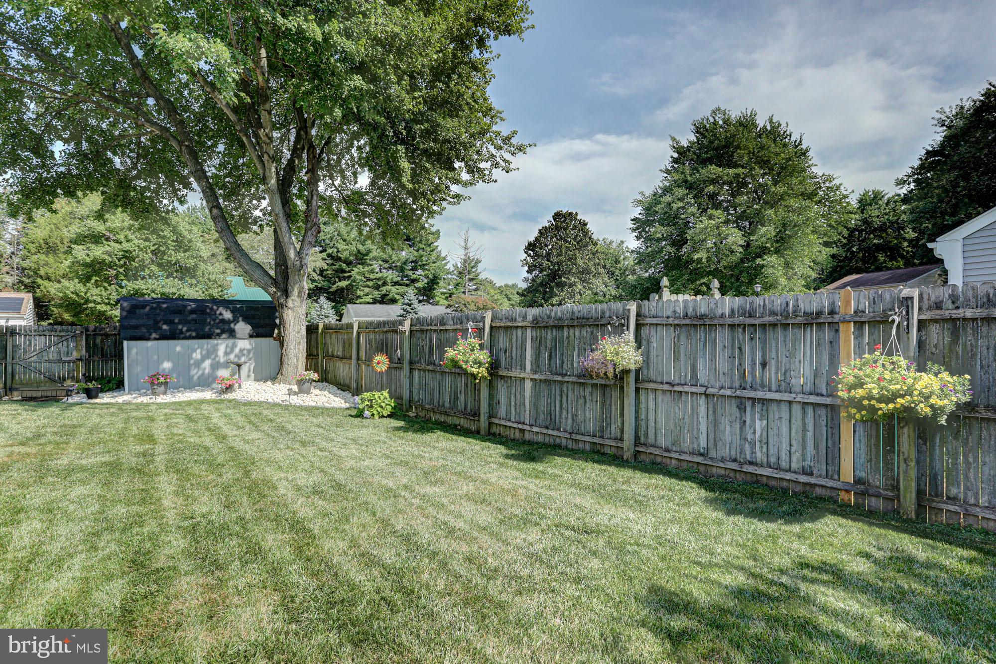 6 3 Rivers Drive Newark, DE 19702 - Photo 9 of 63 Lush backyard oasis with vibrant greenery.