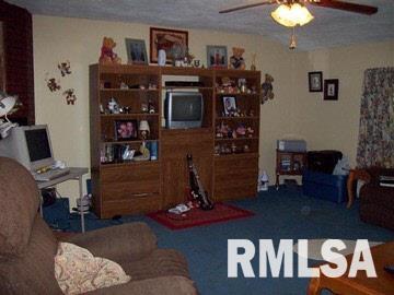 12 Mitchell Drive Wayne City, IL 62895 - Photo 2 of 16