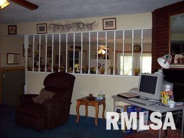 12 Mitchell Drive Wayne City, IL 62895 - Photo 3 of 16