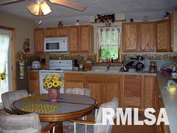 12 Mitchell Drive Wayne City, IL 62895 - Photo 4 of 16