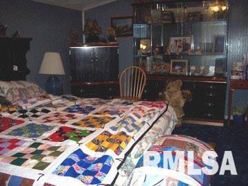 12 Mitchell Drive Wayne City, IL 62895 - Photo 6 of 16