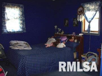 12 Mitchell Drive Wayne City, IL 62895 - Photo 7 of 16