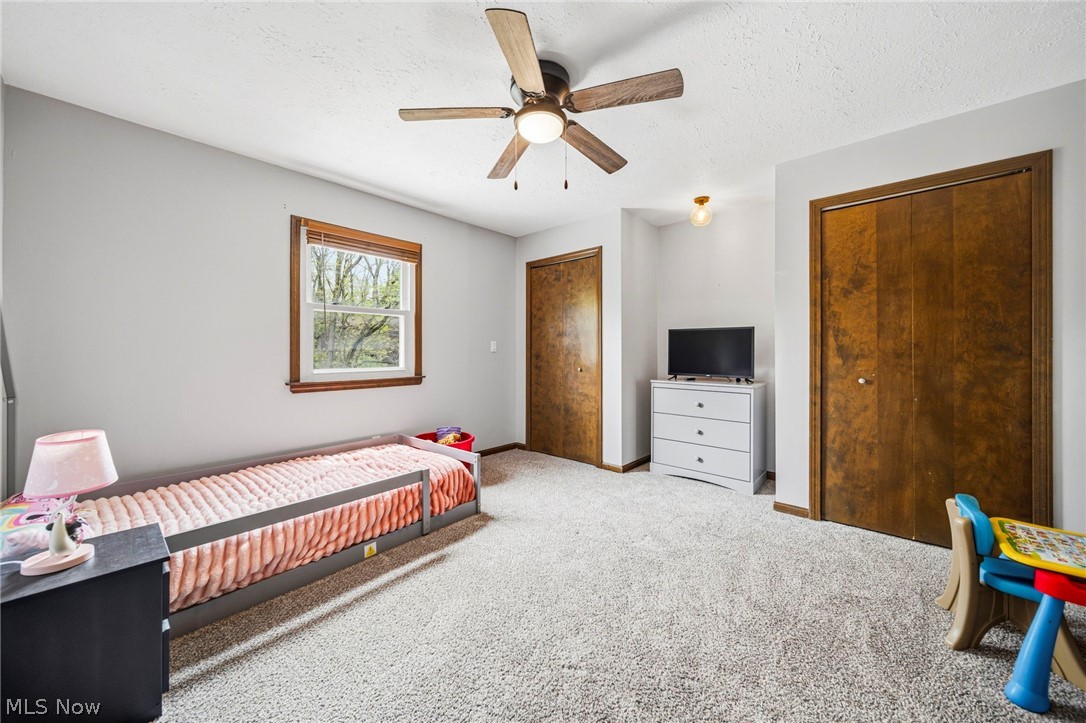 10610 Ridgewater Drive Painesville, OH 44077 - Photo 19 of 23 Carpeted room featuring a ceiling fan with light, wood-trimmed window, and two wooden closet doors