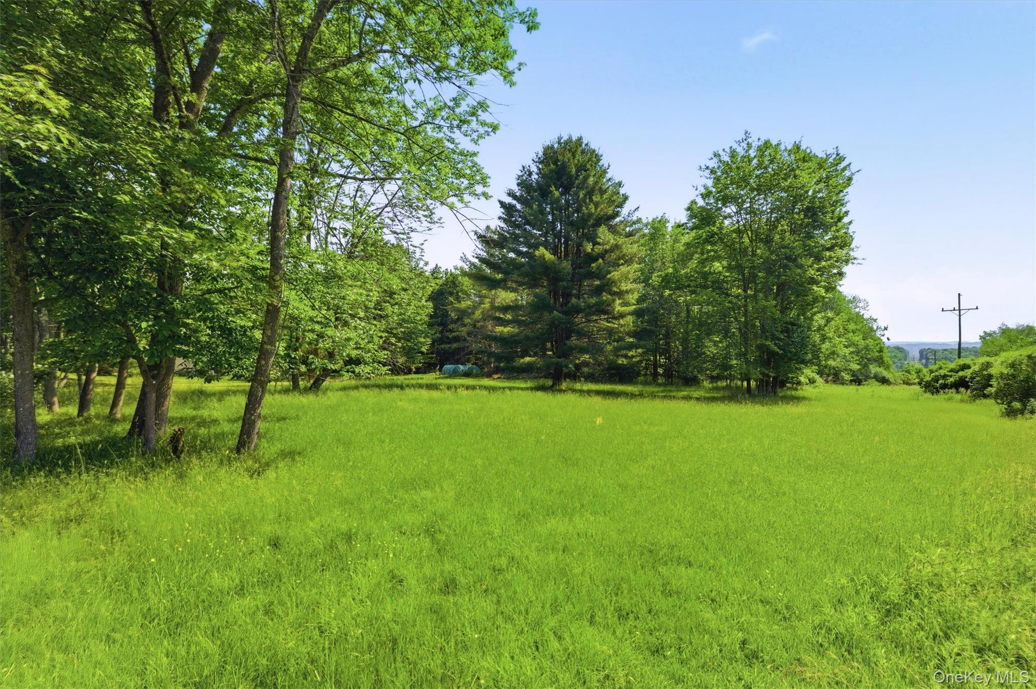 Tbd Britman Road Bethel, NY 12720 - Photo 1 of 16