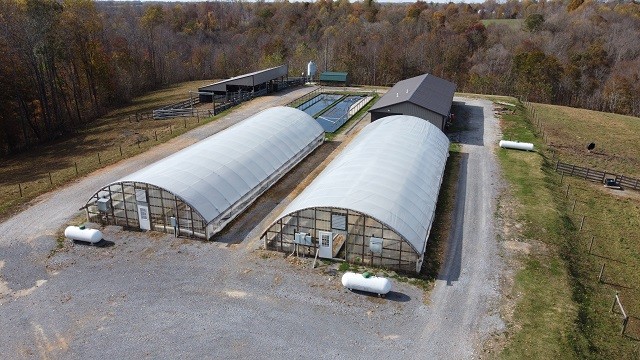 1013 Cave Hill Road Lafayette, TN 37083 - Photo 11 of 55 Gallery Image 11