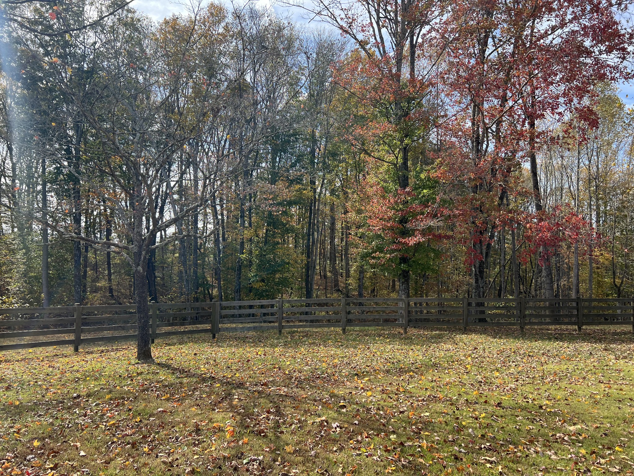 1013 Cave Hill Road Lafayette, TN 37083 - Photo 29 of 55 Gallery Image 29