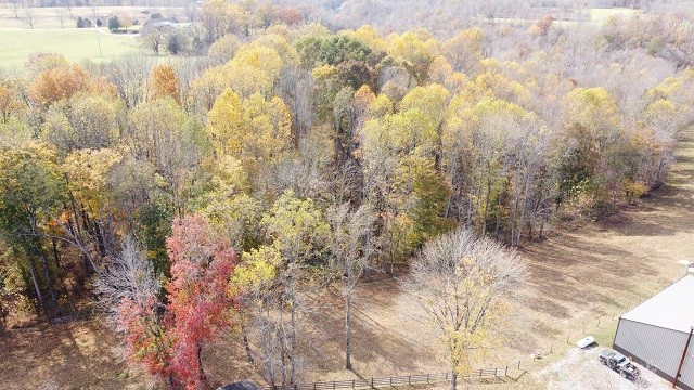 1013 Cave Hill Road Lafayette, TN 37083 - Photo 8 of 55 Gallery Image 8