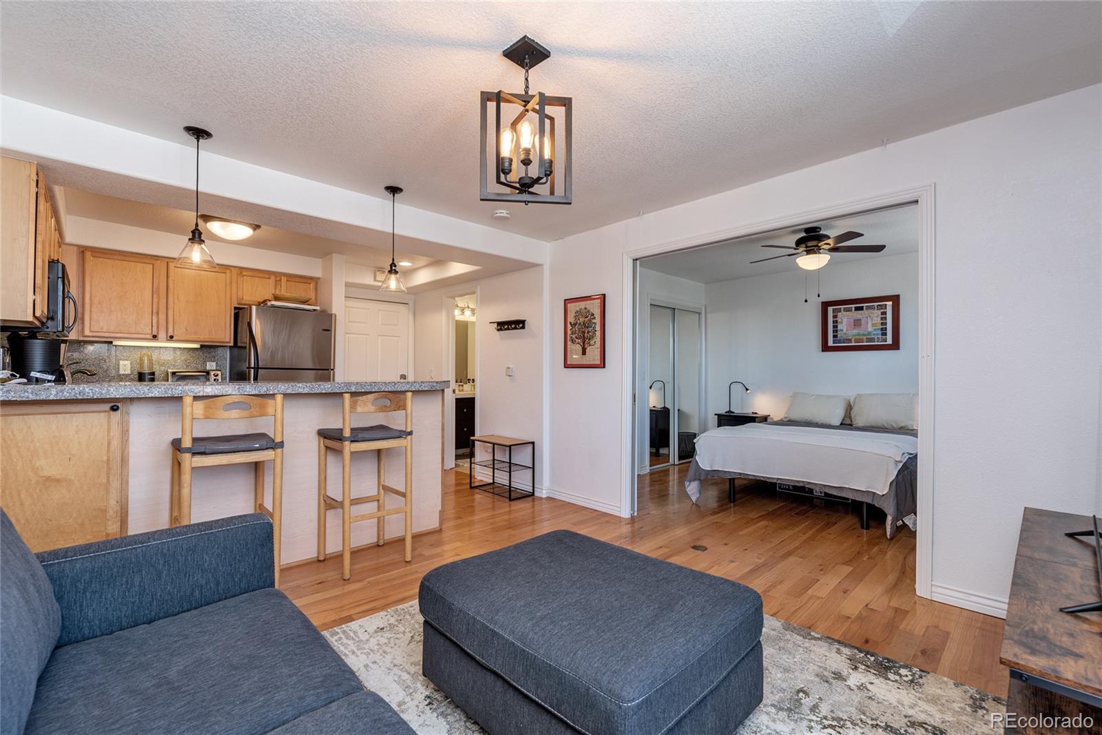 1833 North Williams Street, Unit 504 Denver, CO 80218 - Photo 3 of 19 a living room with furniture and kitchen view