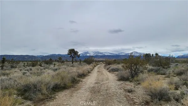 a view of a dry field with trees in background