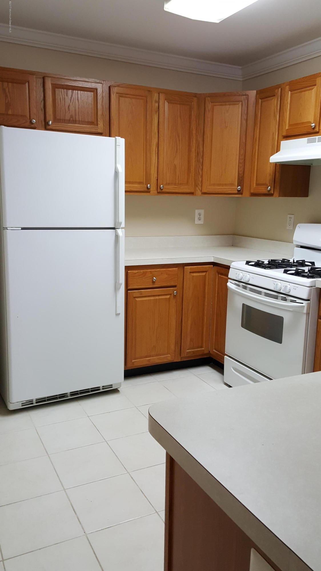 297 Spring Street, Unit 12 Red Bank, NJ 07701 - Photo 4 of 16 Kitchen