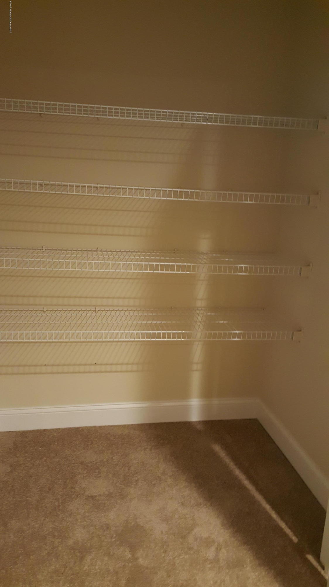 297 Spring Street, Unit 12 Red Bank, NJ 07701 - Photo 10 of 16 Basement closet