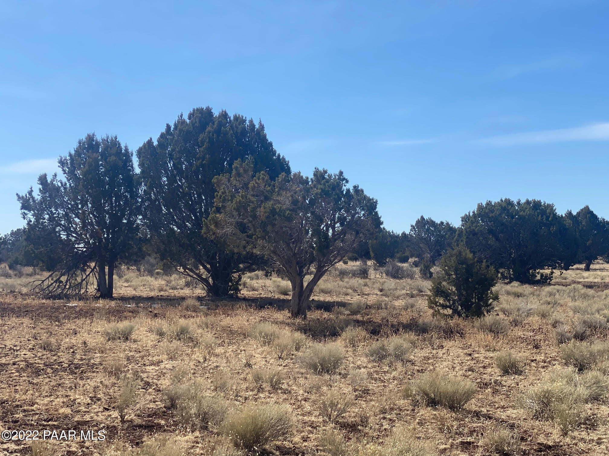 Lot 391 Flat Tank Road Williams, AZ 86046 - Photo 3 of 15 Joyce 3