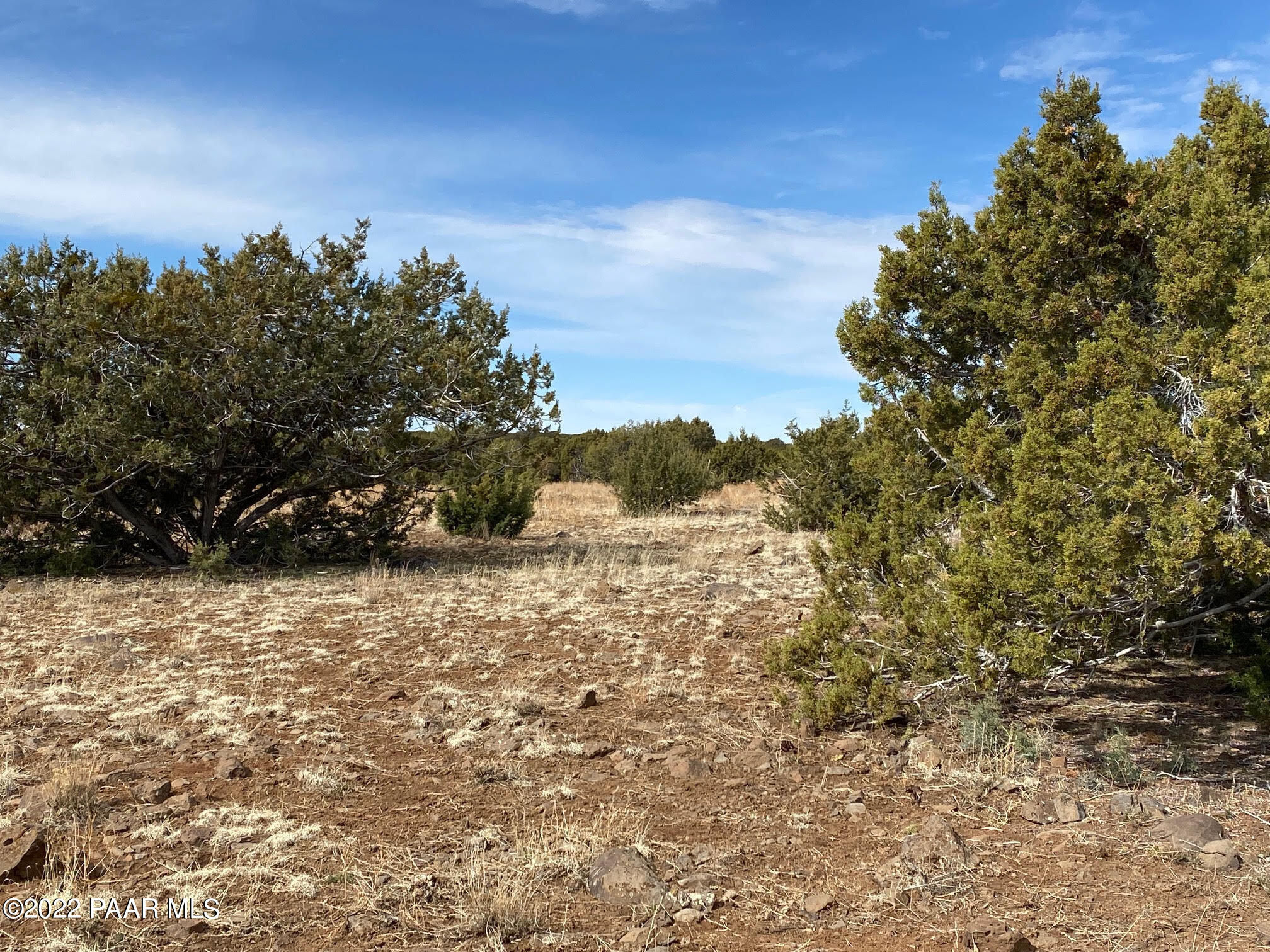 Lot 391 Flat Tank Road Williams, AZ 86046 - Photo 8 of 15 Joyce 6