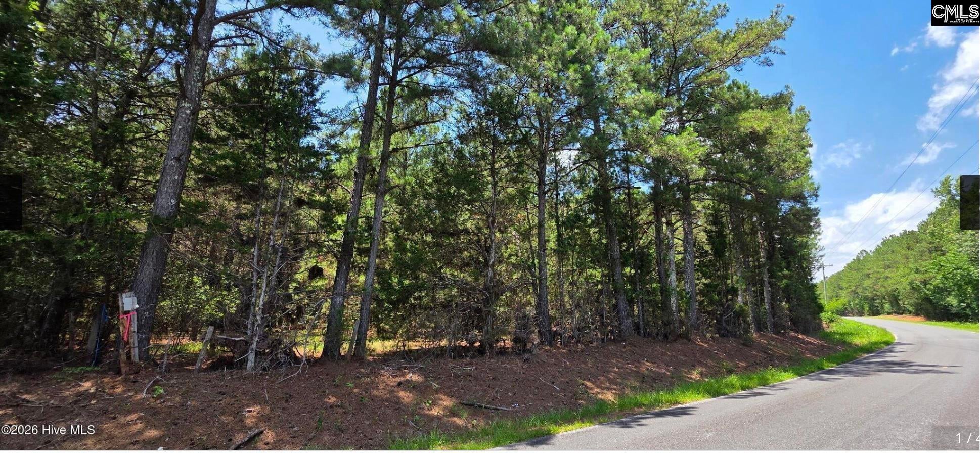 20-acres Chestnut Ridge Road McCormick, SC 29835 - Photo 1 of 4 Gallery Image 1