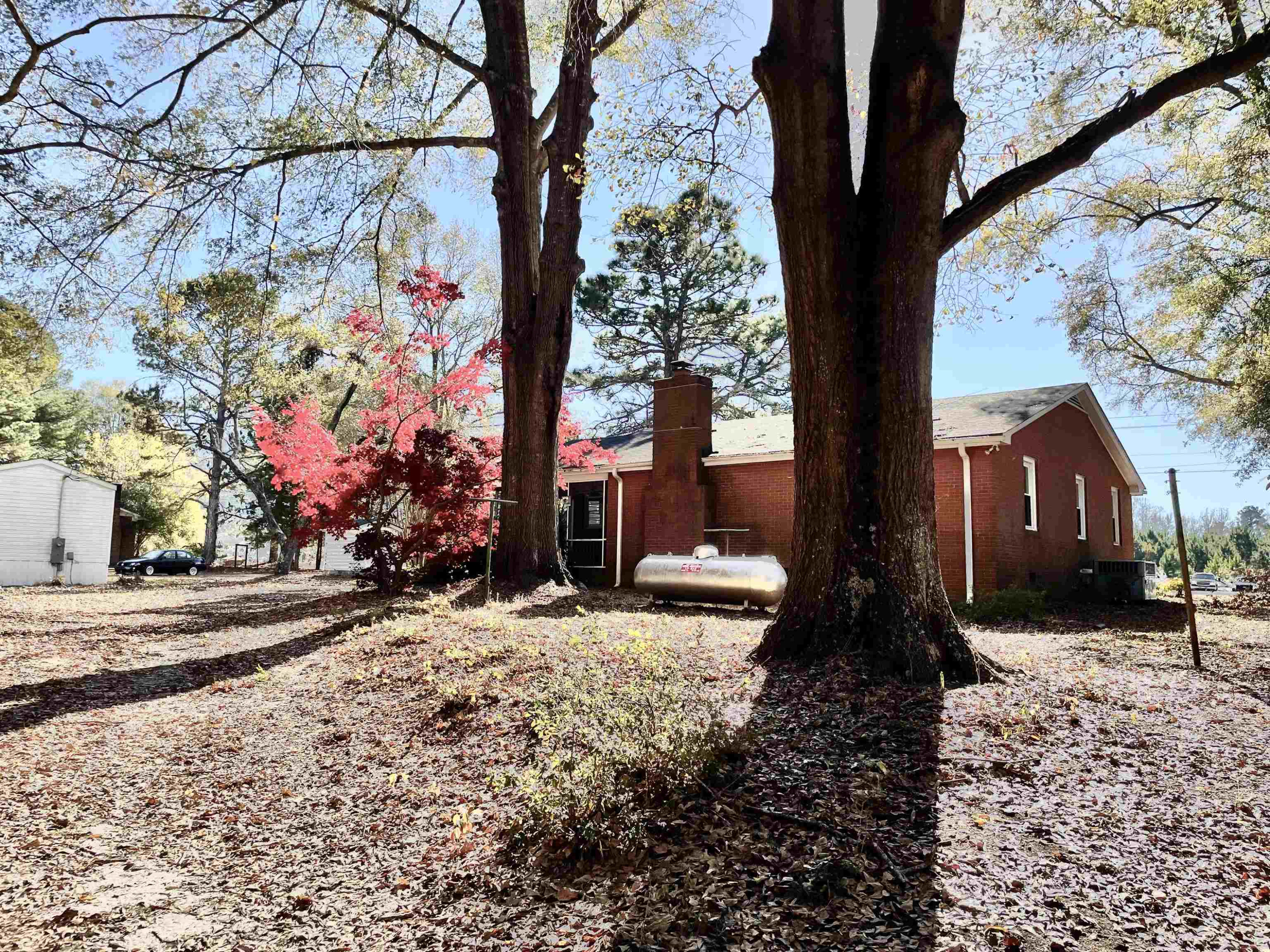 back of home