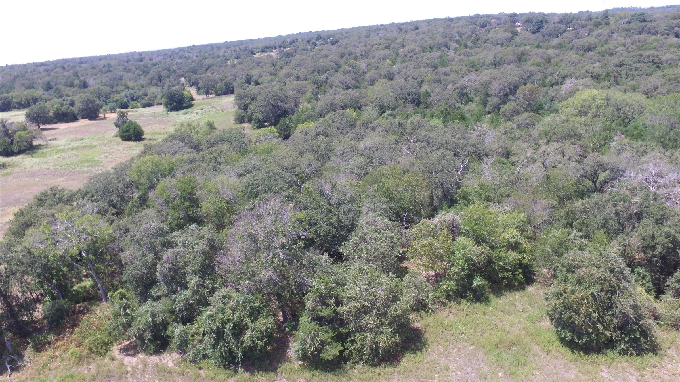 0 County Road 238 Road Cameron, TX 76520 - Photo 7 of 21 Vast, verdant landscape offering a private, tree-studded sanctuary for peaceful living.